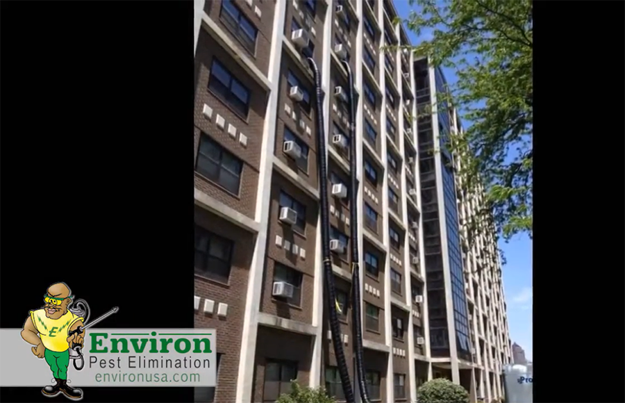 Environ Pest Elimination, Inc. using heat treatment to kill bed bugs in high rise apartments/ hotel rooms - Springfield, IL