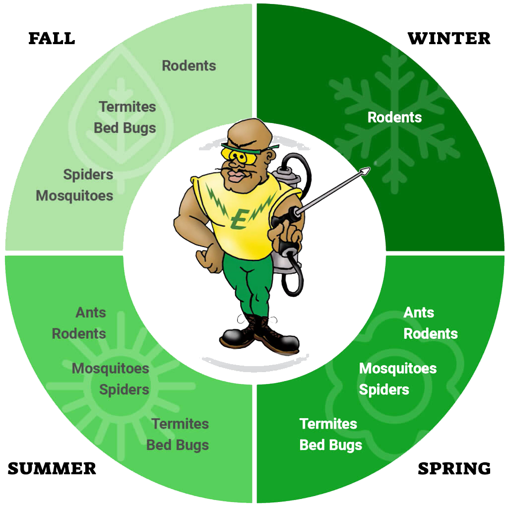Residential pest calendar - chart showing when to expect certain pests problems throughout the year - Environ Pest Elimination, Inc. - Springfield, IL