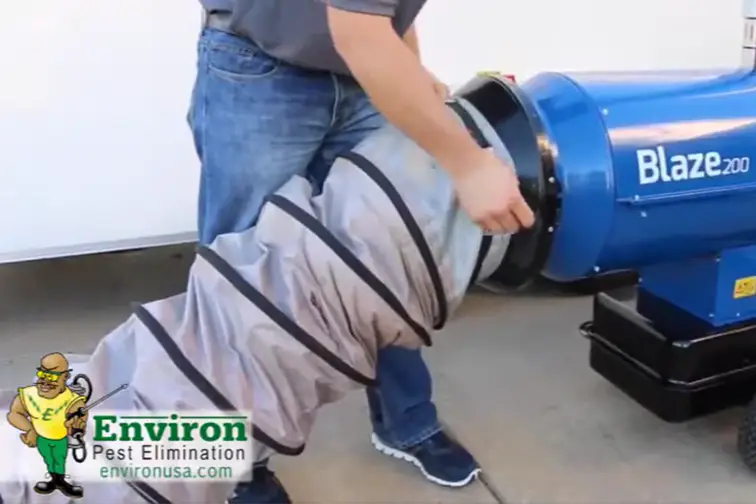 Bed Bug Treatment in Edwardsville, IL