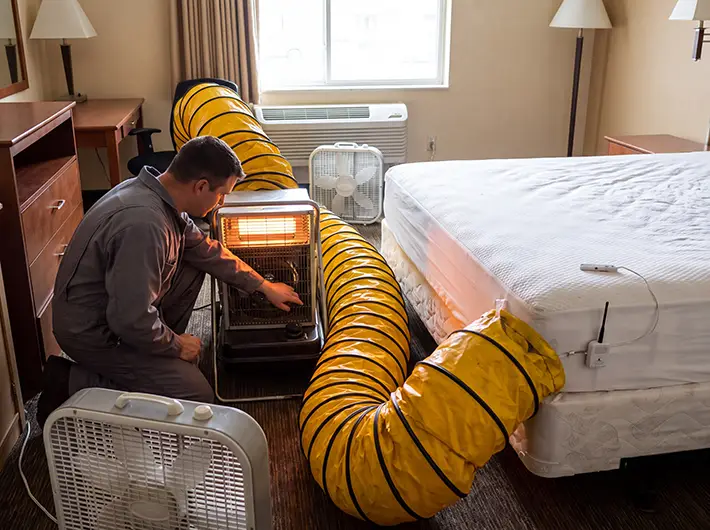 Bed Bug Heat Treatment & Thermal Remediation in Peoria, IL